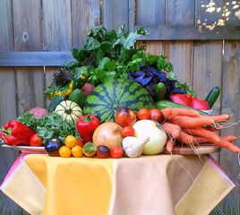 Ferme Roots and Shoots Farm