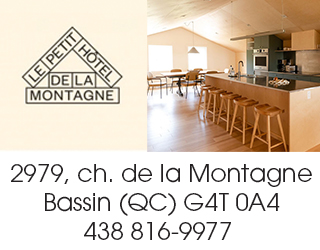 Pave Web Petit Hotel De La Montagne