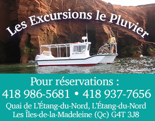 Pave Web Les Excursions Pluvier