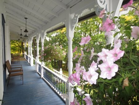 Sous les arbres Sous les arbres