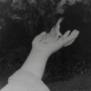 Regards Féminins Regards Féminins