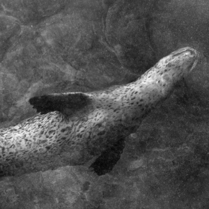 Regards Féminins Regards Féminins