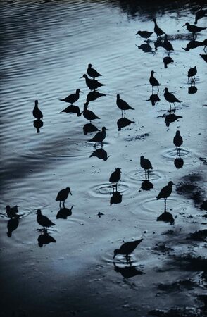 Regards Féminins Regards Féminins