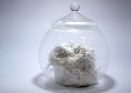 Sociochimie BSL Sociochimie BSL