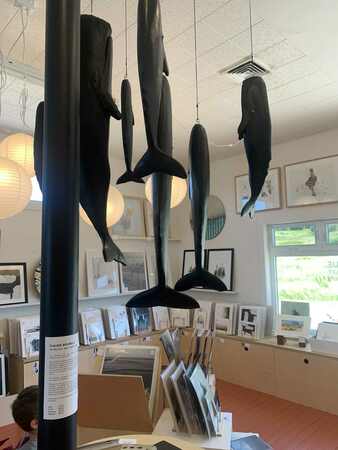 Maison Papier Maison Papier