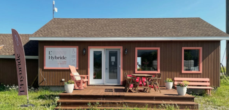 Marsoui Hybride Marsoui Hybride